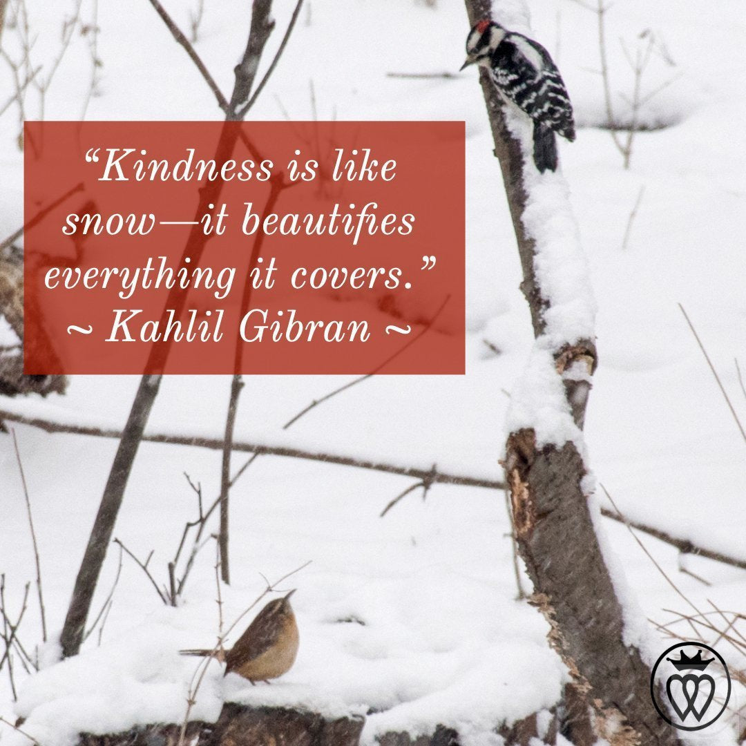 Kindness is like snow—it beautifies everything it covers.-Prince of Scots