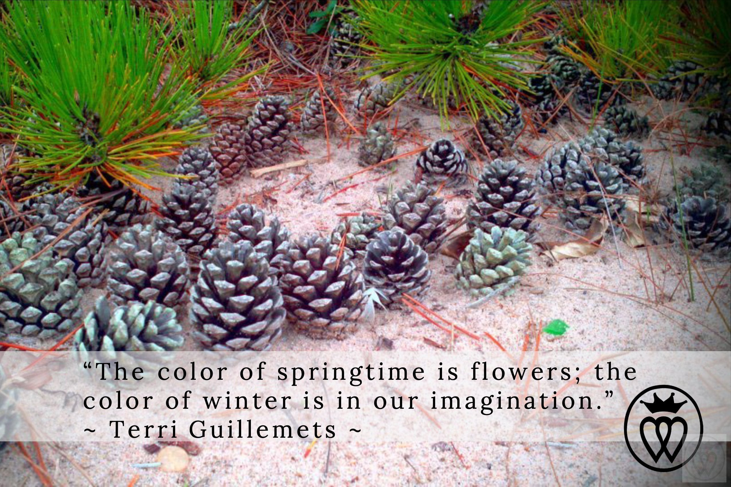 “The color of springtime is flowers; the color of winter is in our ima ...