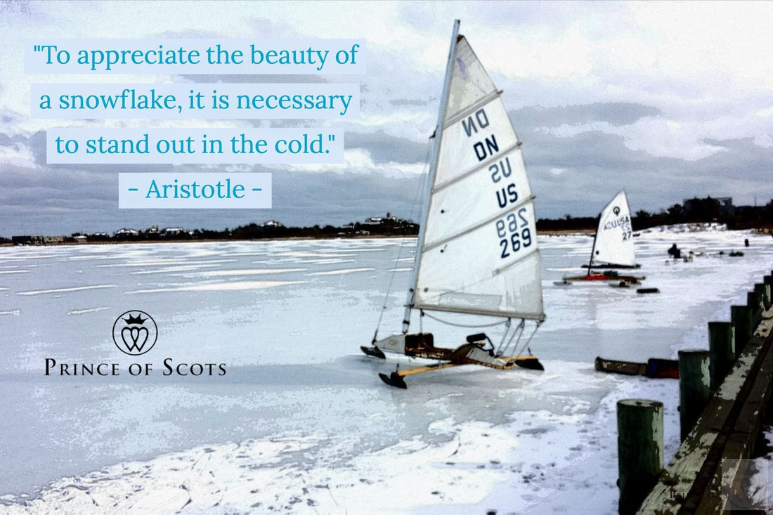 "To appreciate the beauty of a snowflake, it is necessary to stand out in the cold". ~ Aristotle ~-Prince of Scots