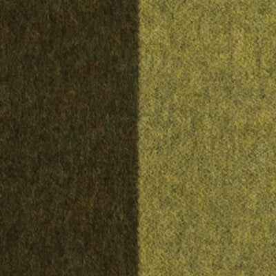 Southampton Home Double-Faced Border Throw 60" X 74" Loden-Blankets-[bar code]-Prince of Scots